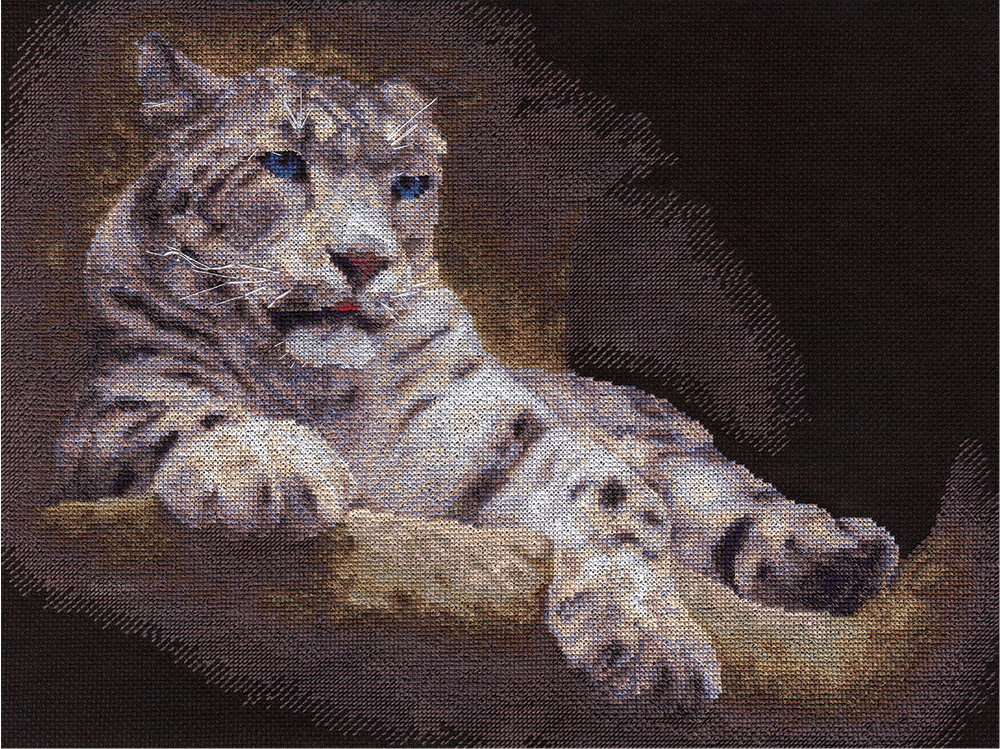 Snow Leopard